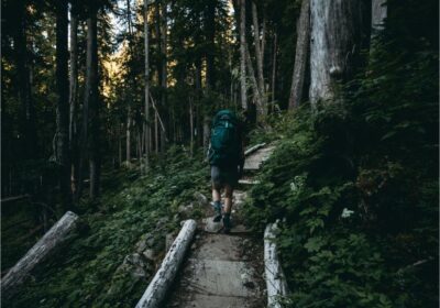 Passport Stamps & Unforgettable Memories